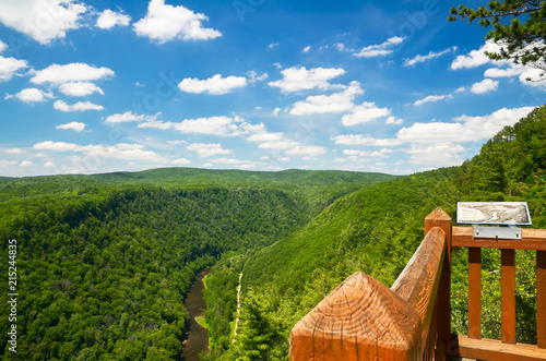 Pine Creek Gorge, also called the Grand Canyon of Pennsylvania. A 47 mile long, 1000 foot deep gorge that winds through north-central Pennsylvania. photo