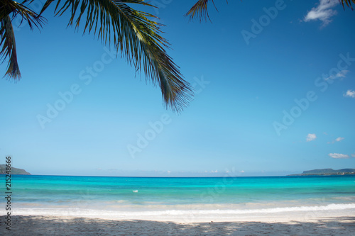 fantastic caribbean beach