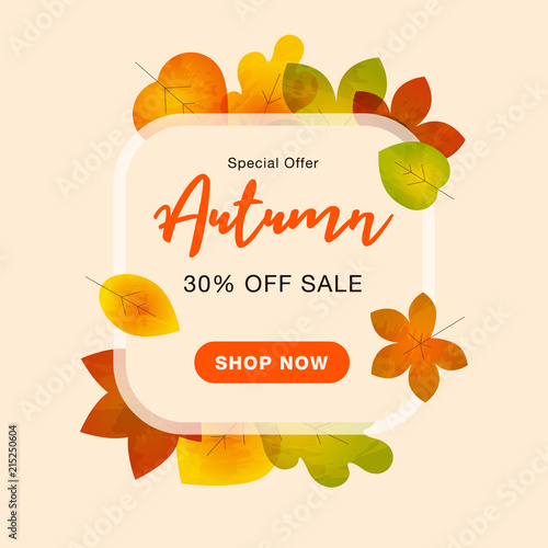 Autumn special offer sale background with colorful fall leaves and call to action button. Easy to use for your website or presentation.