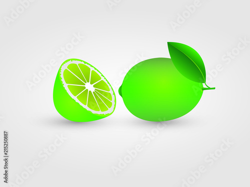 Half sliced green citrus or lemon vector illustration