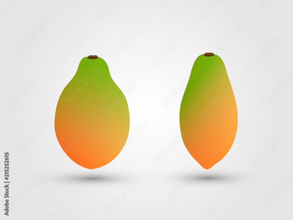 Golden and green fresh ripe papaya vector illustration Golden and green fresh ripe papaya vector illustration