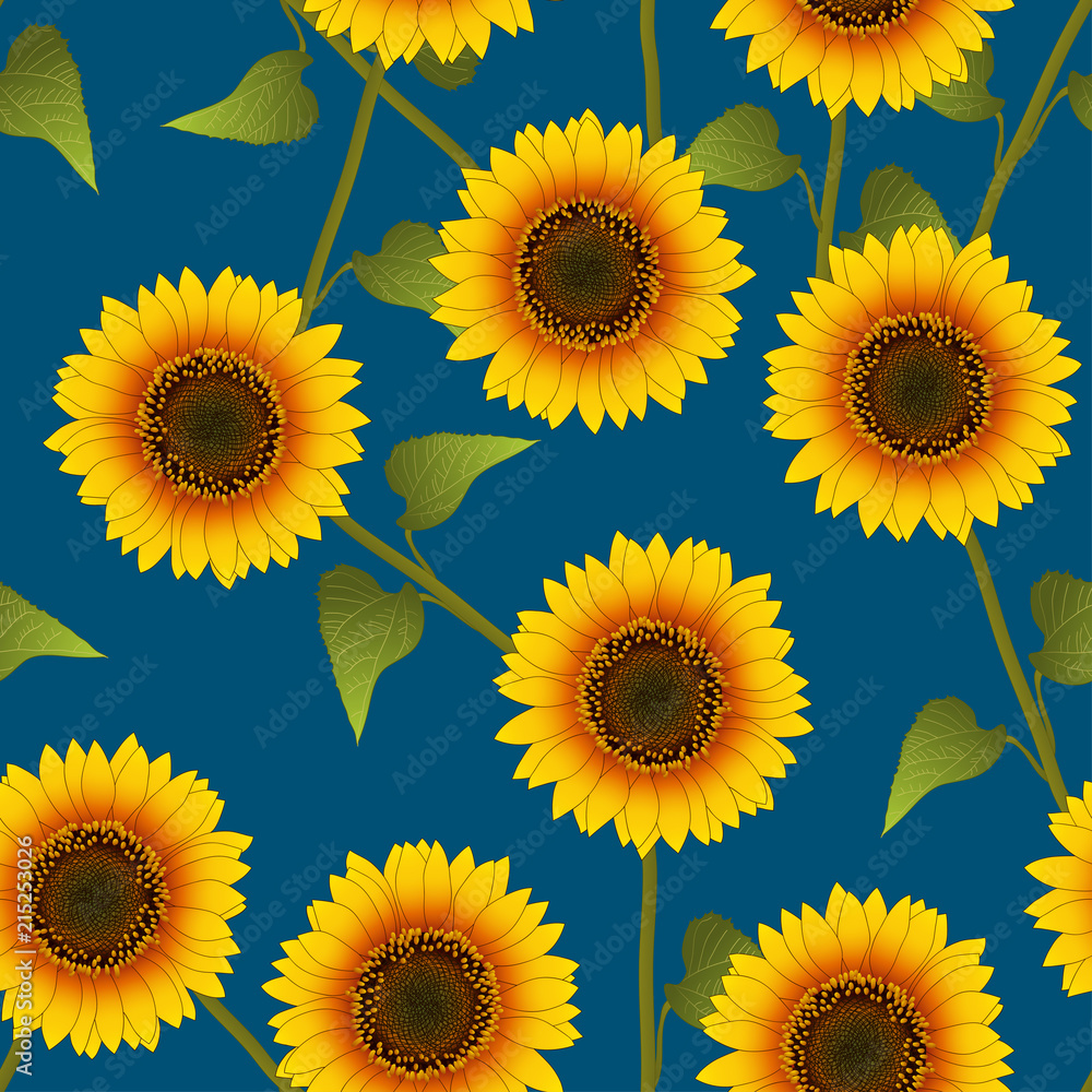 Fototapeta premium Orange Yellow Sunflower on Indigo Blue Background