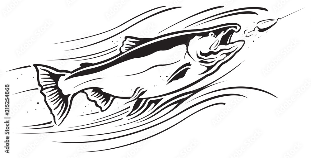 Fototapeta premium King salmon