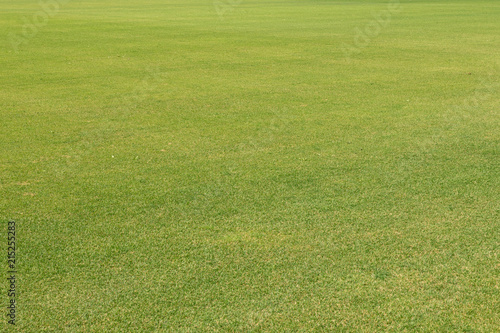 Shortly cut natural well-groomed green lawn from a fresh grass. Big field in the long term. Horizontal shot