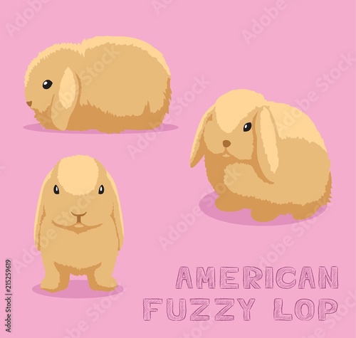 Rabbit American Fuzzy Lop Cartoon Vector Illustration