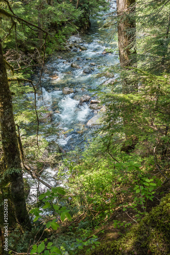 Denny Creek Landscape 2