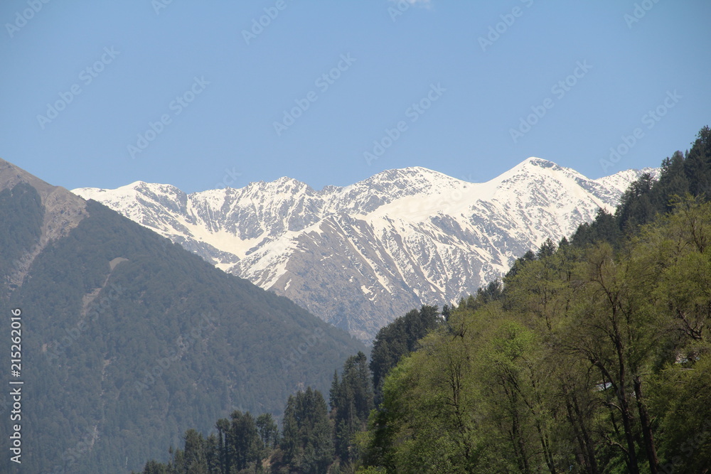3 Lohardi Himachal Pradesh India