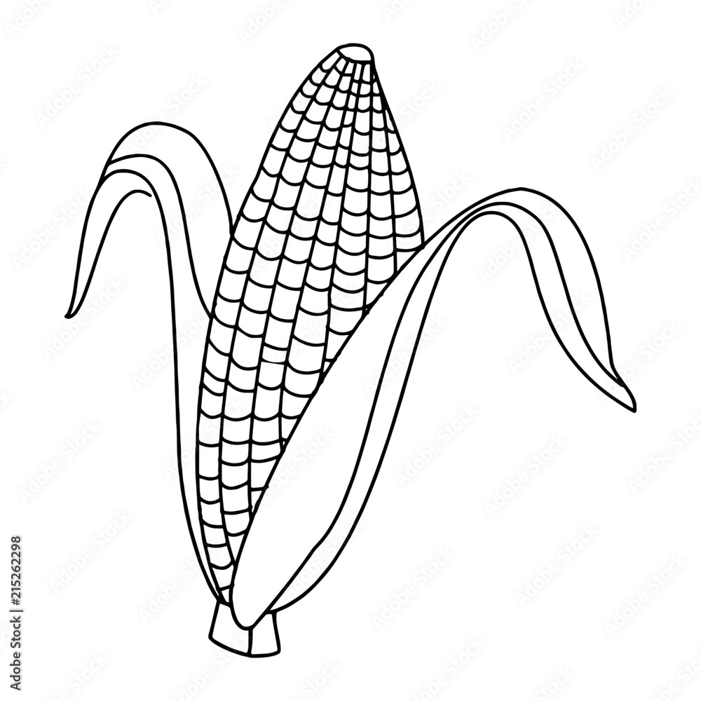Cartoon corn isolated on the white background for children without color  Stock Vector | Adobe Stock