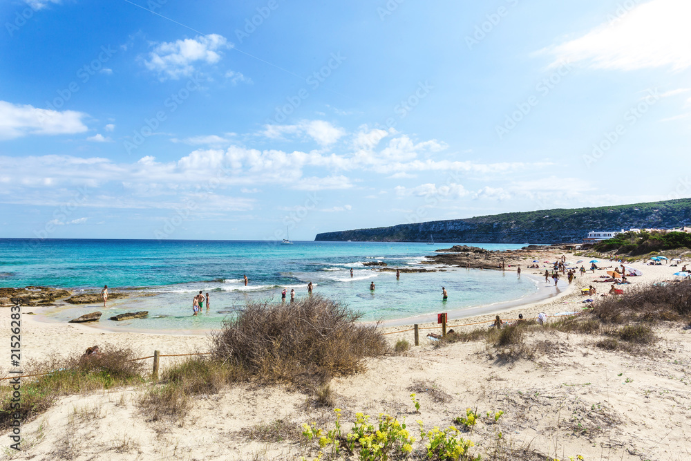 Naklejka premium Nieskazitelne i szmaragdowe wybrzeże akwarelowe na wyspie Formentera na Morzu Śródziemnym, Baleary, naprzeciwko wyspy Ibiza. Miejsce światowego dziedzictwa Unesco. Ses Illettes