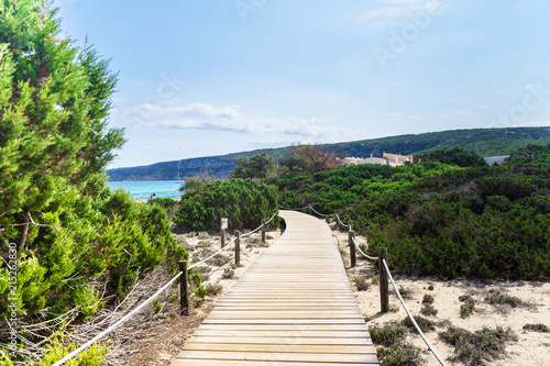 Path through pristine and emerald coast watercolor beach of Formentera Island in the mediterranean sea  Balearic Island  in front of Ibiza Island. Unesco World Heritage site. 