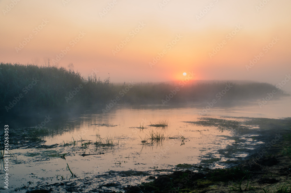 Fototapeta premium Biebrza Natural Park - foggy sunrise over Biebrza river. 
