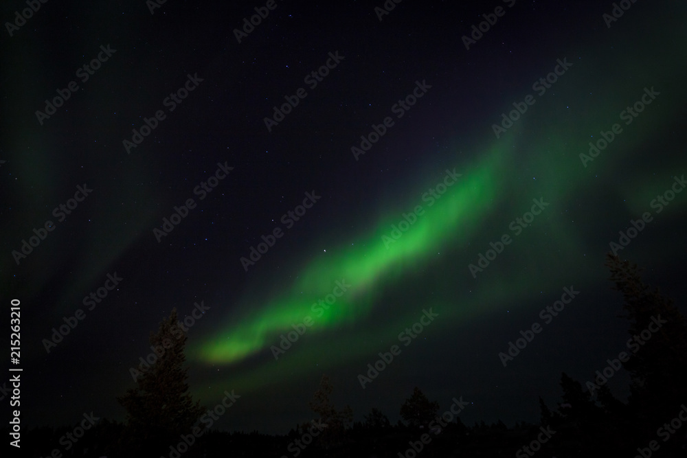 Amazing Northern Lights aurora borealis in Finalnd nordic nature landscape background. Very strong Northern Lights with trees background. Aurora borealis attract every year tourists and nature lovers.