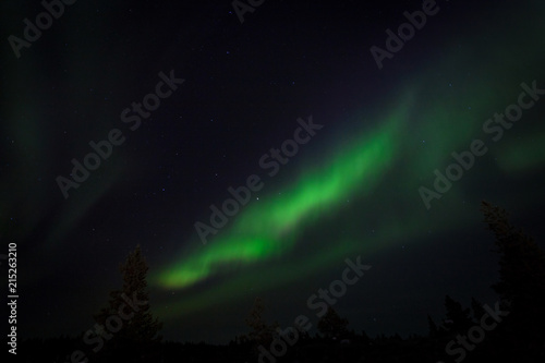 Amazing Northern Lights aurora borealis in Finalnd nordic nature landscape background. Very strong Northern Lights with trees background. Aurora borealis attract every year tourists and nature lovers.