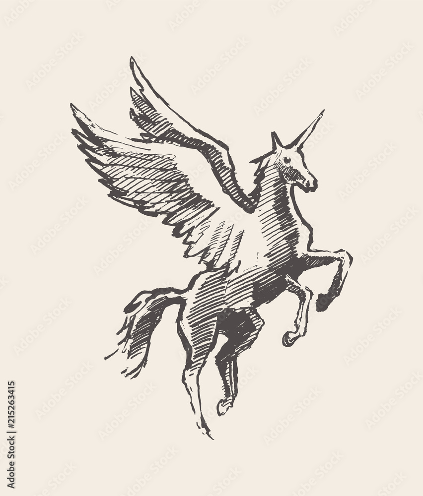 Fototapeta premium Beautiful unicorn wind vector illustration sketch
