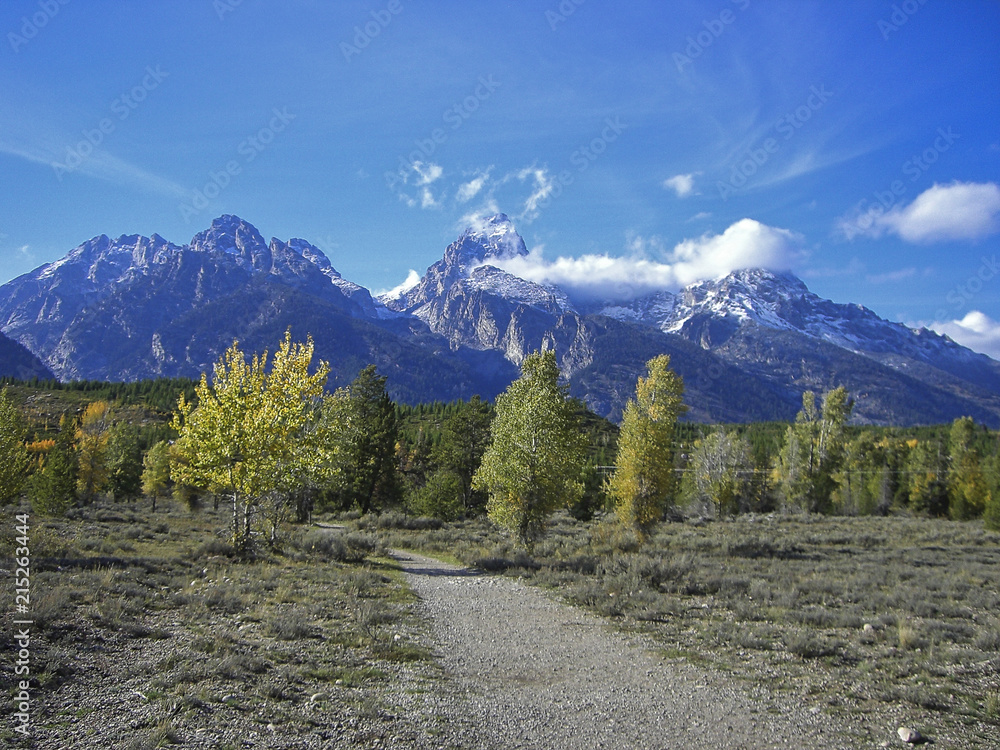 a path in the front of the rocky mountains