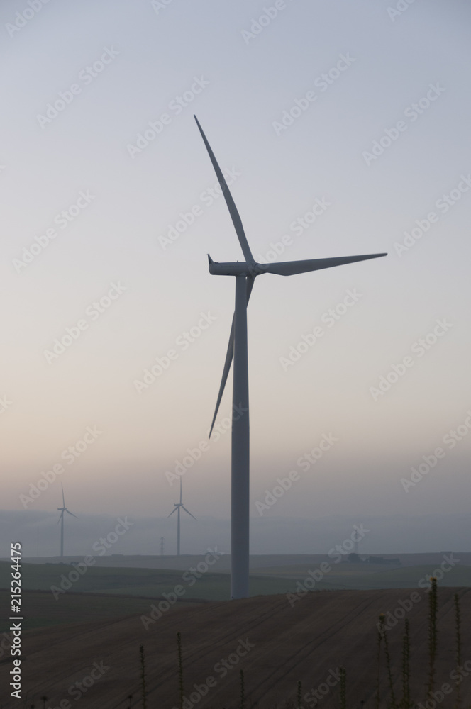 Obraz premium wind turbina , field and sky
