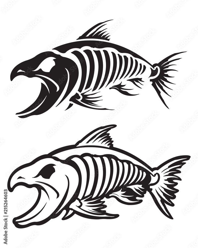 Fototapeta premium Fish skeleton