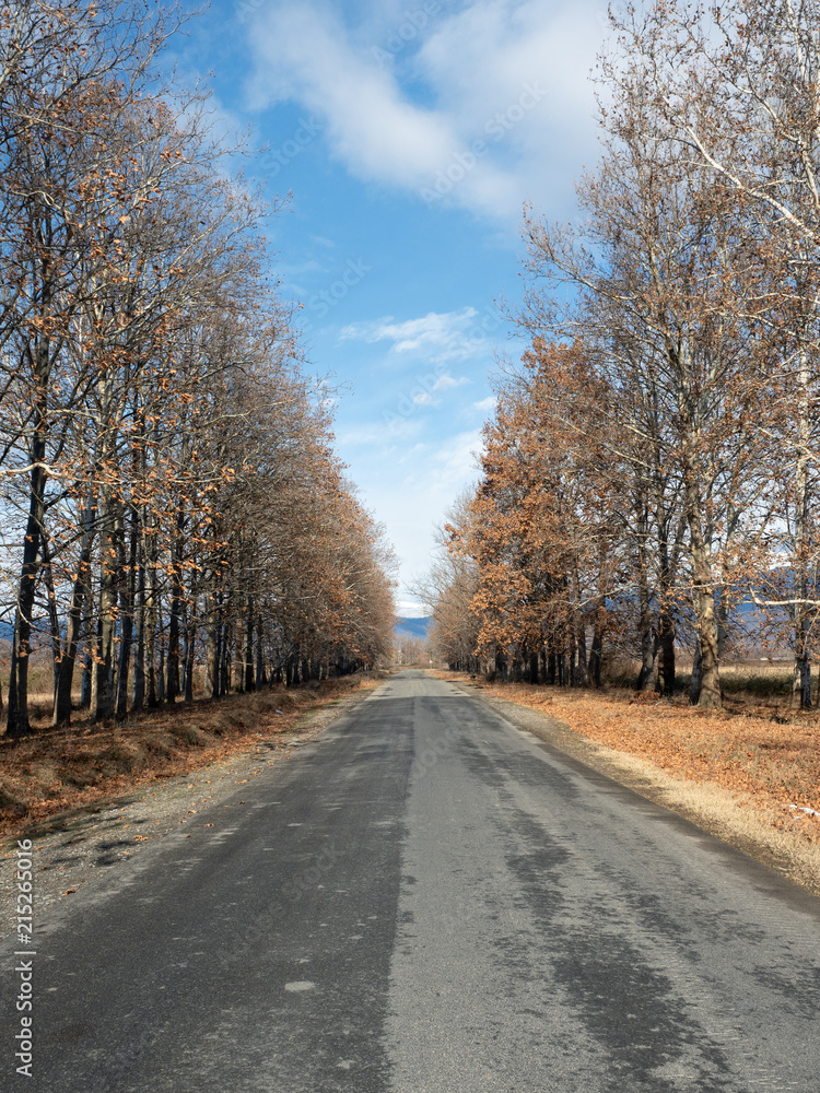 Lonely country road in autumn, Kakheti, Georgia