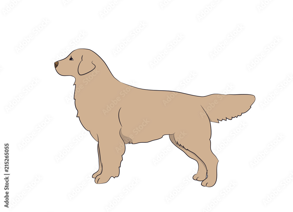 dog vector in the room dog vector in the room