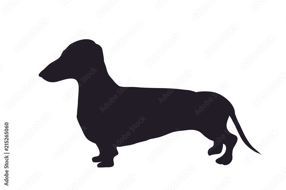 dog stands, silhouette, vector