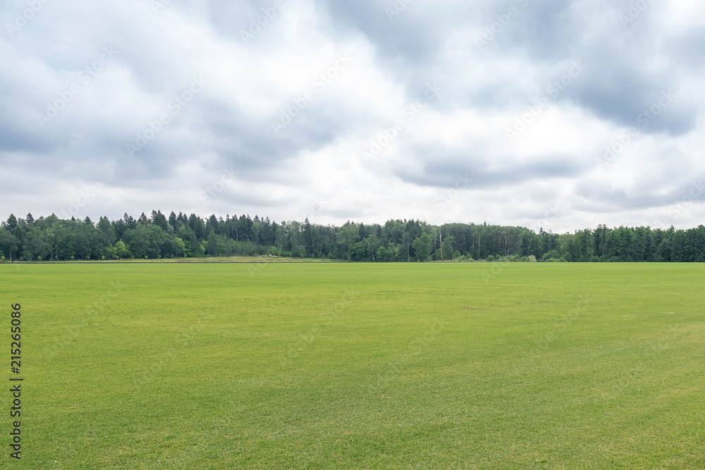 The well-groomed field from a natural grass for a game in a horse polo. The wood and the sky with clouds on a background. Horizontal shot The well-groomed field from a natural grass for a game in a horse polo. The wood and the sky with clouds on a background. Horizontal shot