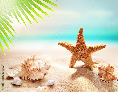 Starfish on the sandy beach and palm leaf