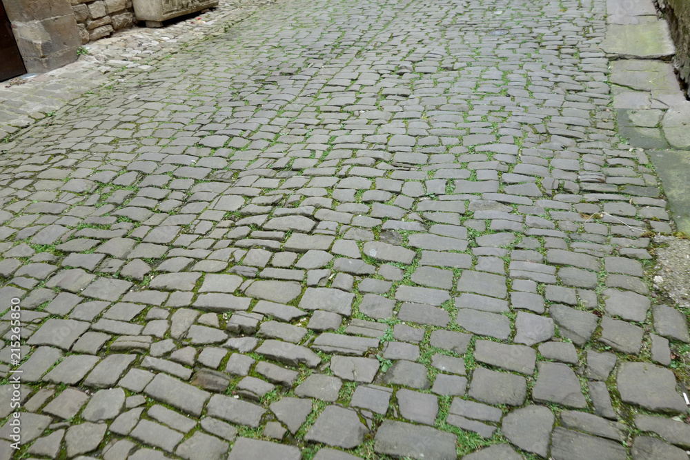 moss between stones in an old street