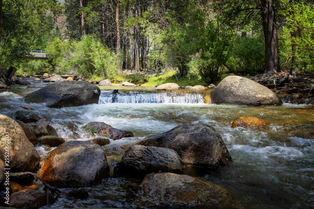 Creek and blurred Water slow shutter speed IV Creek and blurred Water slow shutter speed IV