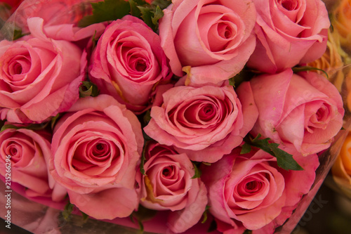 Tight bouquet of pink roses