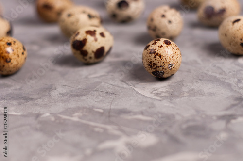Scattered lot of spotted fresh quail eggs on old broken worn gray cement floor with copy space