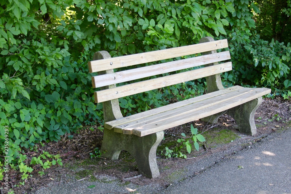 A wooden empty park bench on the path in the forest. A wooden empty park bench on the path in the forest.