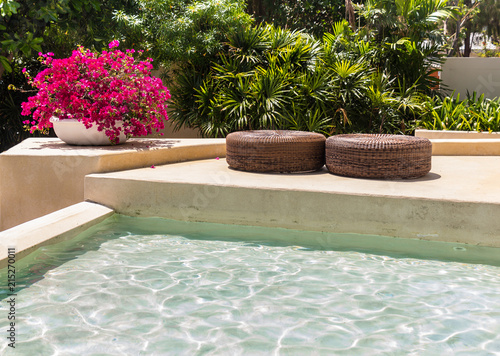 Sunbathing lounger swimming pool side./ Sunbathing lounger swimming pool side and flower pot decoration on summer.
