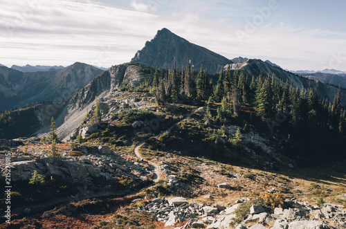 Hiking trail extending through expansive alpine meadow, Pasayten Wilderness, Washington