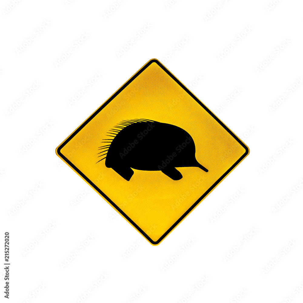 Australian warning road sign for echidnas wildlife crossing the road and highways of Australia. Isolated on white. Australian warning road sign for echidnas wildlife crossing the road and highways of Australia. Isolated on white.