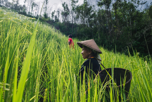Senior Karen woman in her rotational farming