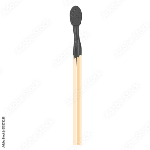 Burnt match isolated on white background - burned-out matchstick