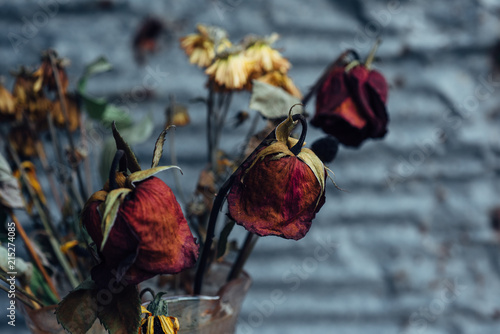 Various dried up flowers in a vase