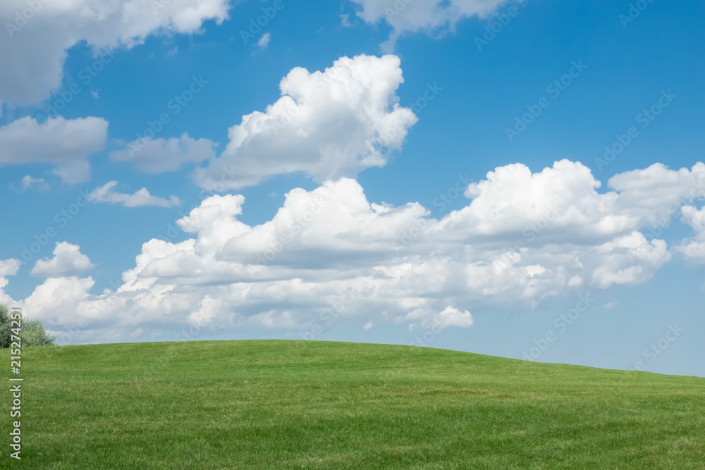 Beautiful landscape. Green grass field and cloudy blue sky Beautiful landscape. Green grass field and cloudy blue sky