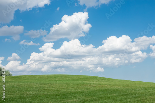 Beautiful landscape. Green grass field and cloudy blue sky