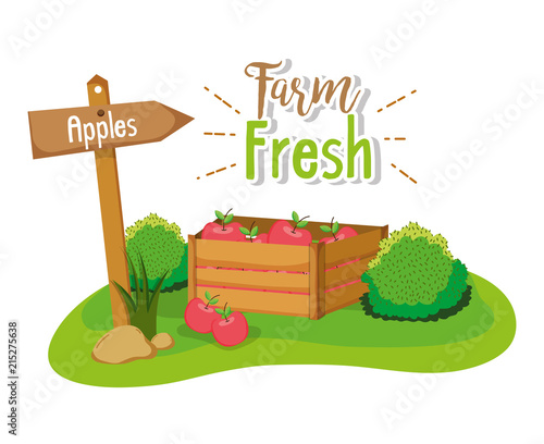 Farm fresh concept