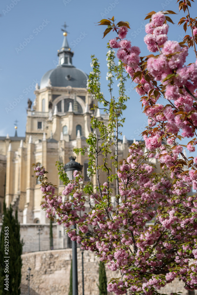 Obraz premium Almudena Cathedral
