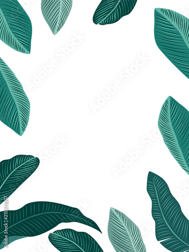Vector tropical jungle background with palm trees and leaves