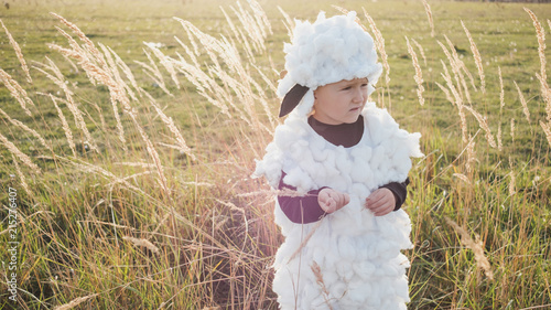 Little Boy In The Sheep Costume Standing In The Field photo