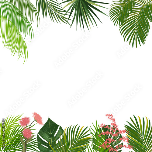 Vector tropical jungle background with palm trees and flowers