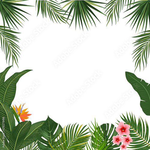 Vector tropical jungle background with palm trees and flowers