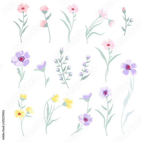 Vector floral set on white background.
