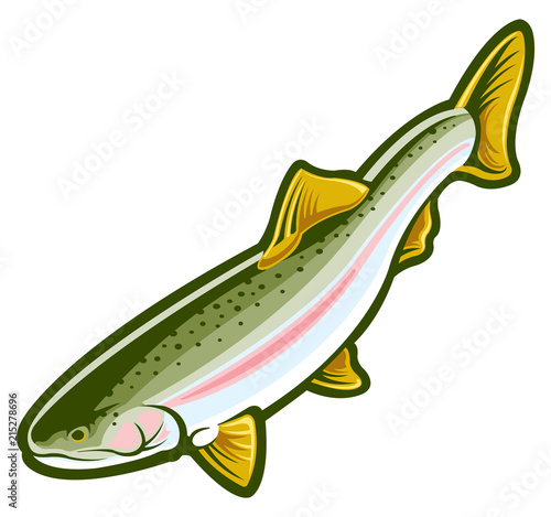 Rainbow trout