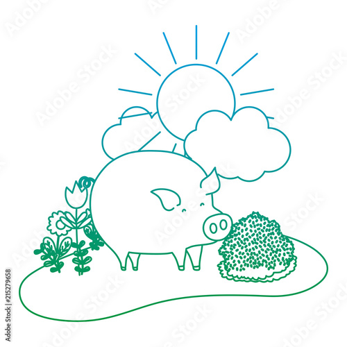 degraded line nice pig animal walking farm