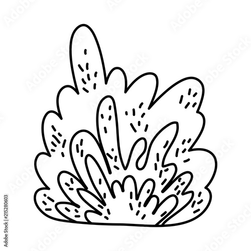 line nature bush plant with tropical leaves