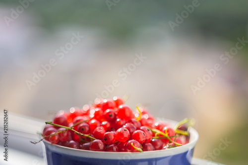 red currant